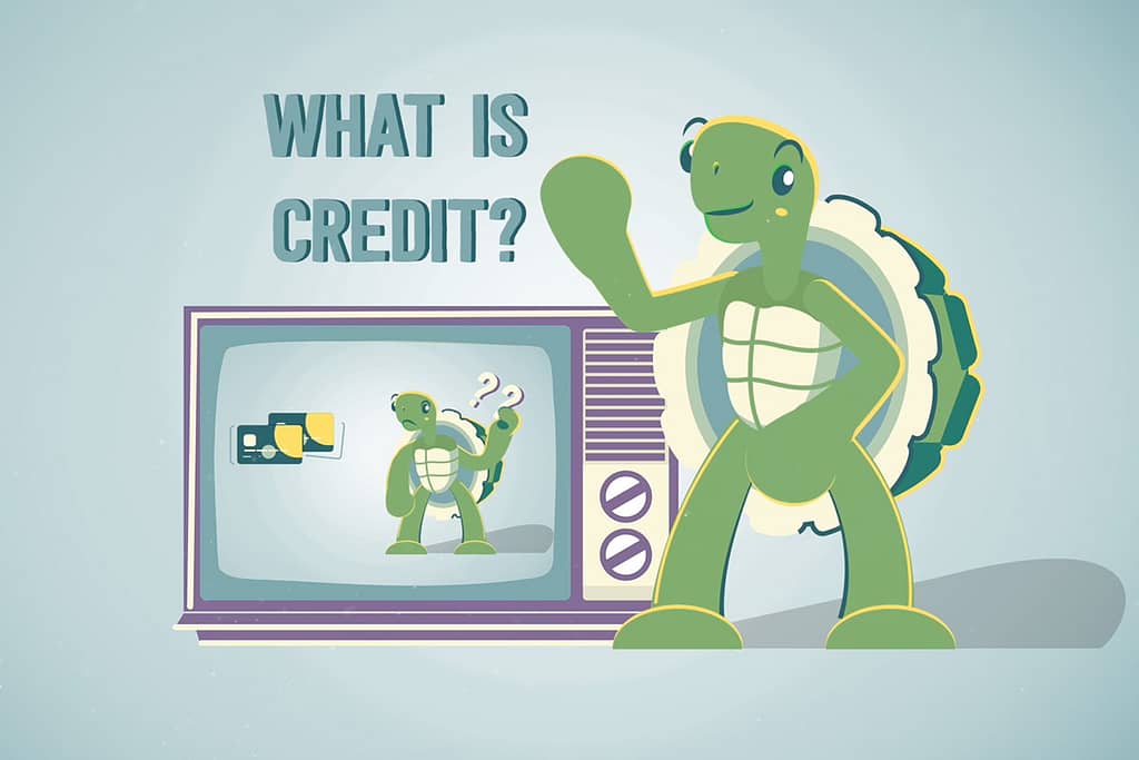 What is credit on tv by credit turtle standing