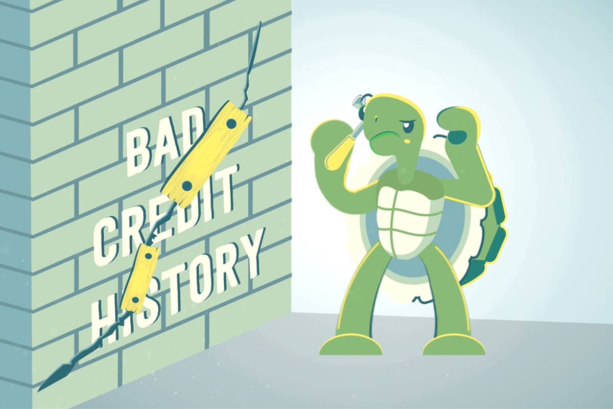 Bad Credit History Wall Repair by Credit Turtle