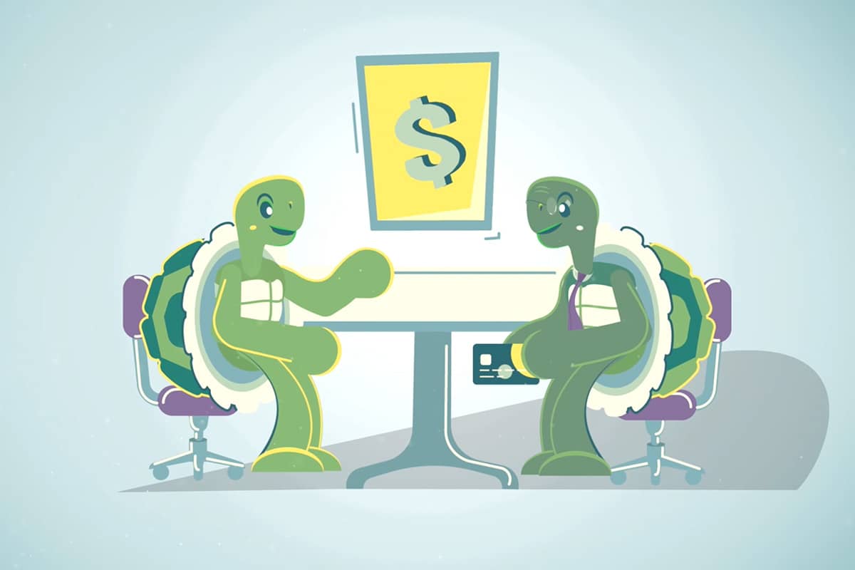 Credit Turtle And Business Turtle Talk About Money